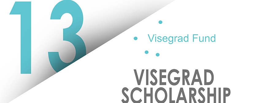 Visegard Scholarship