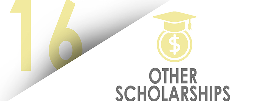 Other Scholarships