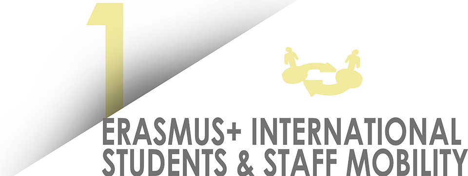 Erasmus International